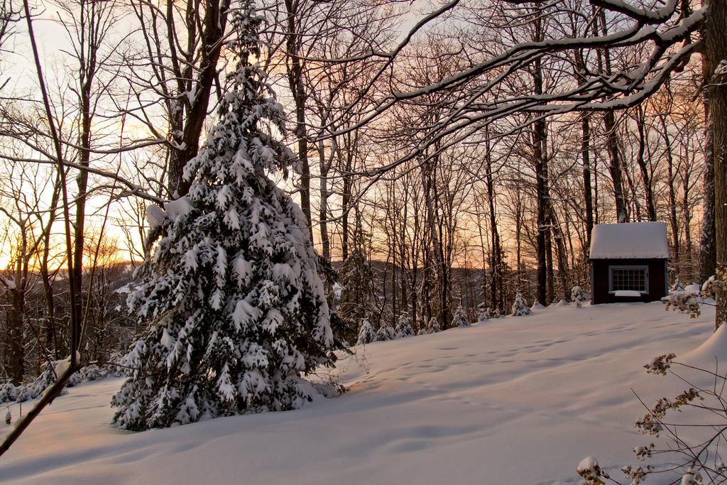 Le Petit Clocher Gite Touristique B & B Saint-Sauveur-des-Monts Zewnętrze zdjęcie