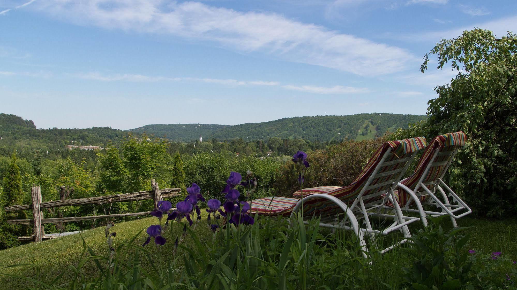 Le Petit Clocher Gite Touristique B & B Saint-Sauveur-des-Monts Zewnętrze zdjęcie